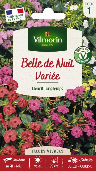 Fleurs - Belle de Nuit Variée - PACKAGING_RECTO